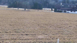 Rejvíz - Běžecké stopy