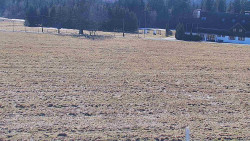 Rejvíz - Běžecké stopy