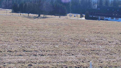 Rejvíz - Běžecké stopy