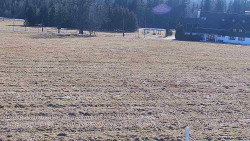 Rejvíz - Běžecké stopy