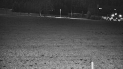 Rejvíz - Běžecké stopy