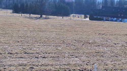 Rejvíz - Běžecké stopy