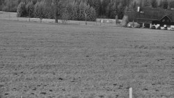 Rejvíz - Běžecké stopy