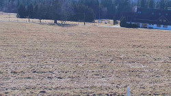 Rejvíz - Běžecké stopy