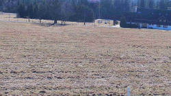 Rejvíz - Běžecké stopy