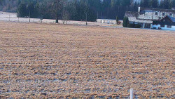 Rejvíz - Běžecké stopy