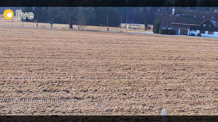 Rejvíz - Běžecké stopy - Rejvíz - Běžecké stopy - 4.3.2026 v 09:00
