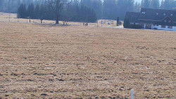 Rejvíz - Běžecké stopy