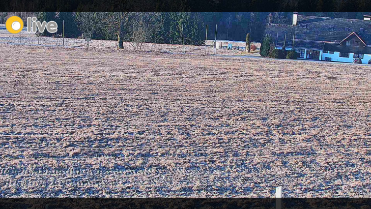Rejvíz - Běžecké stopy - Rejvíz - Běžecké stopy - 6.3.2026 v 07:00