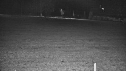 Rejvíz - Běžecké stopy