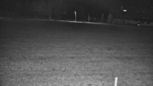 Rejvíz - Běžecké stopy - Rejvíz - Běžecké stopy - 10.3.2026 v 04:00 Rejvíz - Běžecké stopy - Rejvíz - Běžecké stopy - 10.3.2026 v 04:00