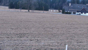 Rejvíz - Běžecké stopy - Rejvíz - Běžecké stopy - 10.3.2026 v 06:00