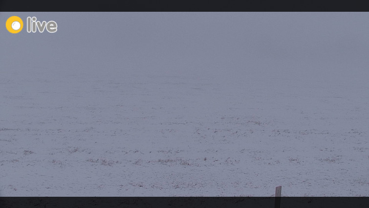 Rejvíz - Běžecké stopy - Rejvíz - Běžecké stopy - 17.3.2026 v 18:00