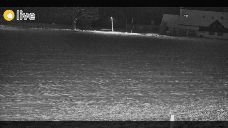 Rejvíz - Běžecké stopy - Rejvíz - Běžecké stopy - 17.3.2026 v 19:00