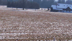 Rejvíz - Běžecké stopy
