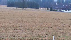 Rejvíz - Běžecké stopy