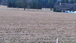 Rejvíz - Běžecké stopy