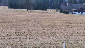 Rejvíz - Běžecké stopy - Rejvíz - Běžecké stopy - 23.3.2026 v 09:00