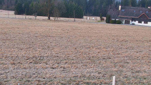 Rejvíz - Běžecké stopy - Rejvíz - Běžecké stopy - 24.3.2026 v 06:00