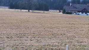 Rejvíz - Běžecké stopy - Rejvíz - Běžecké stopy - 24.3.2026 v 10:00