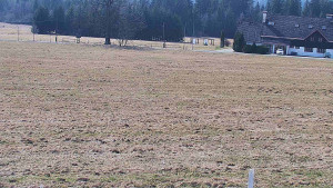 Rejvíz - Běžecké stopy - Rejvíz - Běžecké stopy - 24.3.2026 v 11:00