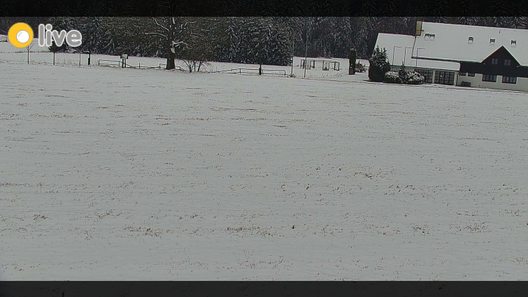 Rejvíz - Běžecké stopy - Rejvíz - Běžecké stopy - 26.3.2026 v 13:00