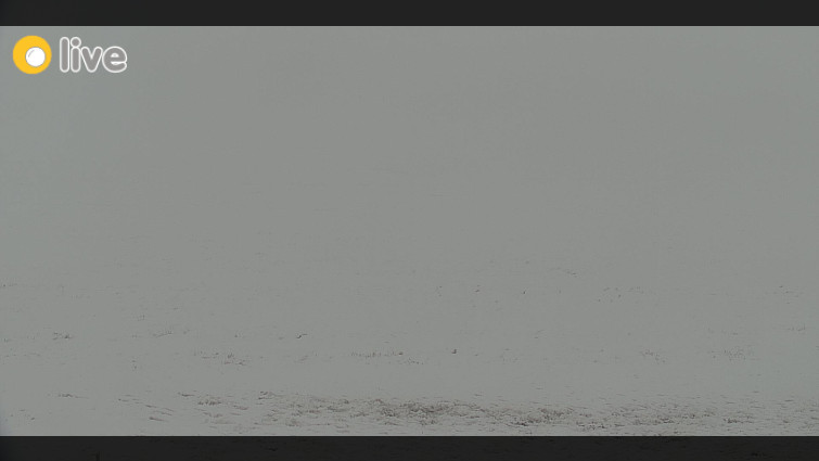 Rejvíz - Běžecké stopy - Rejvíz - Běžecké stopy - 29.3.2026 v 14:00