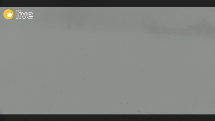 Rejvíz - Běžecké stopy - Rejvíz - Běžecké stopy - 31.3.2026 v 13:00