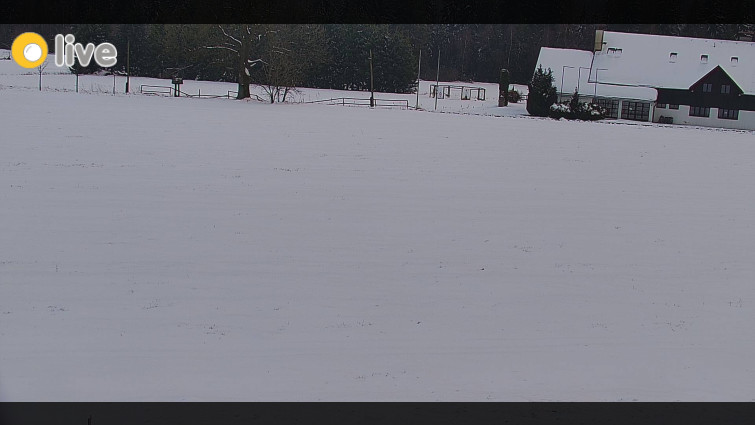 Rejvíz - Běžecké stopy - Rejvíz - Běžecké stopy - 31.3.2026 v 19:00