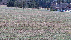 Rejvíz - Běžecké stopy