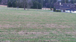 Rejvíz - Běžecké stopy