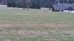 Rejvíz - Běžecké stopy