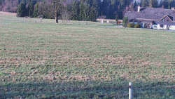 Rejvíz - Běžecké stopy