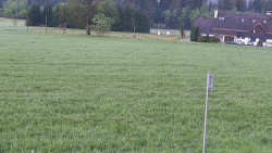 Rejvíz - Běžecké stopy