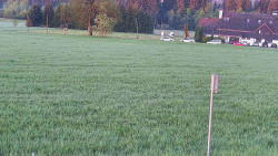 Rejvíz - Běžecké stopy