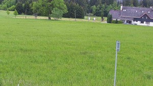 Rejvíz - Běžecké stopy - Rejvíz - Běžecké stopy - 30.5.2026 v 11:00 Rejvíz - Běžecké stopy - Rejvíz - Běžecké stopy - 30.5.2026 v 11:00