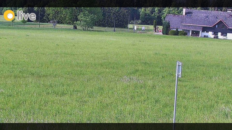 Rejvíz - Běžecké stopy - Rejvíz - Běžecké stopy - 31.5.2026 v 09:00