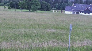 Rejvíz – Langlaufloipen - Reihwiesen – Langlaufloipen - 17.6.2026 v 05:00 Rejvíz – Langlaufloipen - Reihwiesen – Langlaufloipen - 17.6.2026 v 05:00