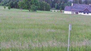 Rejvíz – Langlaufloipen - Reihwiesen – Langlaufloipen - 17.6.2026 v 06:00 Rejvíz – Langlaufloipen - Reihwiesen – Langlaufloipen - 17.6.2026 v 06:00