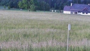 Rejvíz – Langlaufloipen - Reihwiesen – Langlaufloipen - 17.6.2026 v 07:00 Rejvíz – Langlaufloipen - Reihwiesen – Langlaufloipen - 17.6.2026 v 07:00