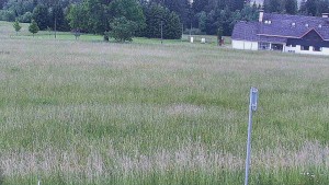 Rejvíz – Langlaufloipen - Reihwiesen – Langlaufloipen - 17.6.2026 v 09:00 Rejvíz – Langlaufloipen - Reihwiesen – Langlaufloipen - 17.6.2026 v 09:00