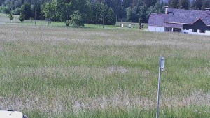Rejvíz – Langlaufloipen - Reihwiesen – Langlaufloipen - 17.6.2026 v 10:00 Rejvíz – Langlaufloipen - Reihwiesen – Langlaufloipen - 17.6.2026 v 10:00