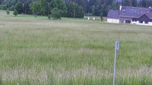 Rejvíz – Langlaufloipen - Reihwiesen – Langlaufloipen - 17.6.2026 v 11:00 Rejvíz – Langlaufloipen - Reihwiesen – Langlaufloipen - 17.6.2026 v 11:00