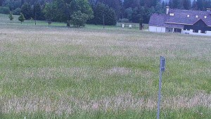 Rejvíz – Langlaufloipen - Reihwiesen – Langlaufloipen - 17.6.2026 v 13:00 Rejvíz – Langlaufloipen - Reihwiesen – Langlaufloipen - 17.6.2026 v 13:00