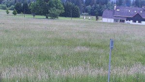 Rejvíz – Langlaufloipen - Reihwiesen – Langlaufloipen - 17.6.2026 v 14:00 Rejvíz – Langlaufloipen - Reihwiesen – Langlaufloipen - 17.6.2026 v 14:00