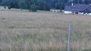 Rejvíz – Langlaufloipen - Reihwiesen – Langlaufloipen - 1.8.2026 v 05:00 Rejvíz – Langlaufloipen - Reihwiesen – Langlaufloipen - 1.8.2026 v 05:00