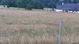 Rejvíz – Langlaufloipen - Reihwiesen – Langlaufloipen - 1.8.2026 v 06:00 Rejvíz – Langlaufloipen - Reihwiesen – Langlaufloipen - 1.8.2026 v 06:00