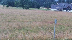 Rejvíz – Langlaufloipen - Reihwiesen – Langlaufloipen - 1.8.2026 v 09:00 Rejvíz – Langlaufloipen - Reihwiesen – Langlaufloipen - 1.8.2026 v 09:00