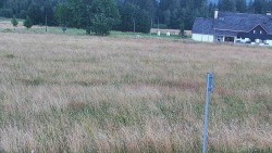 Reihwiesen – Langlaufloipen
