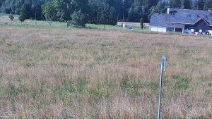 Rejvíz – trasy narciarstwa biegowego - Rejvíz - trasy narciarstwa biegowego - 8.8.2026 v 09:00 Rejvíz – trasy narciarstwa biegowego - Rejvíz - trasy narciarstwa biegowego - 8.8.2026 v 09:00